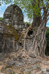 Fototapeta na wymiar Tropical tree on Ta Som temple at Angkor complex