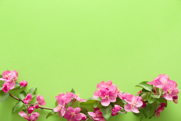 Naklejka na ściany i meble Beautiful blossoming branch on color background