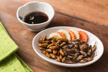 Insect food collection