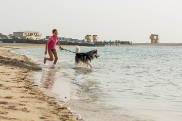 Young girl with Alaskan Malamute on the beach in Dubai