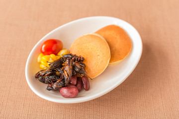 Insect pancake