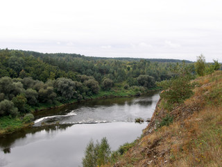 Summer landscape with trees and river