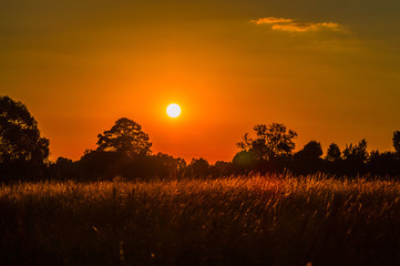 Wieczorne słońce © Kamil