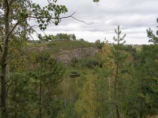 Summer landscape with trees
