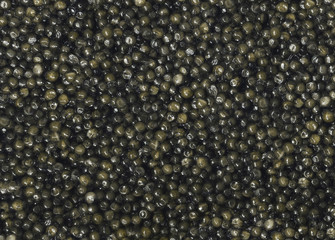 Closeup of black sturgeon caviar