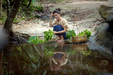 Lao woman Vientiane, Laos, is cleaning riverside vegetables. And a reflection.