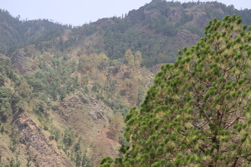 Naklejka premium Hemang