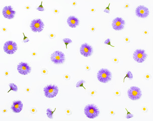 Floral pattern made of violet asters and chamomile on white background. Flat lay. Top view.