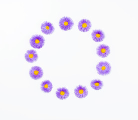 Floral wreath made of violet flowers on white background. Flat lay. Top view with copy space.