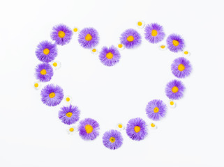 Heart symbol made of violet flowers and chamomile isolated on white background. Flat lay. Top view.