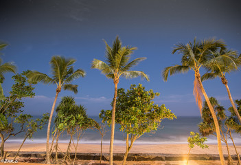 Wave sound "If you would know strength and patience, welcome the company of trees." The sky and the stars above the trees, the ocean and the magical wavesound hitting the sandy shore. 