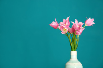 Vase with beautiful tulips on color background