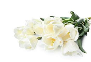 Obraz na płótnie Canvas Beautiful tulips on white background