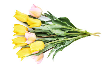 Beautiful tulips on white background