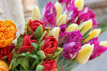 Bouquets of beautiful tulips, closeup