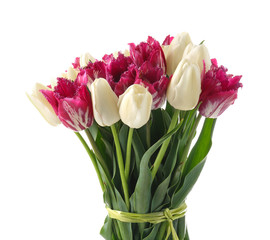 Bouquet of beautiful tulips on white background