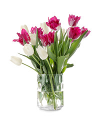 Vase with beautiful tulips on white background