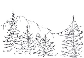 Landscape with a mountain chain and forest. In the foreground there are three tall firs. Hand-drawn...