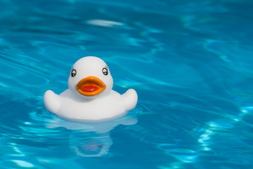 Funny bath duck in a pool