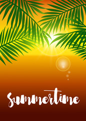 Realistic vector summer sunset poster with palm leafs.
