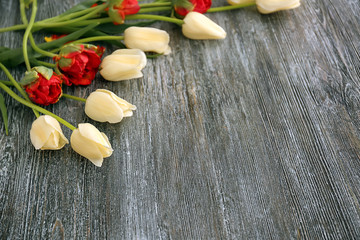 Beautiful tulips on wooden background