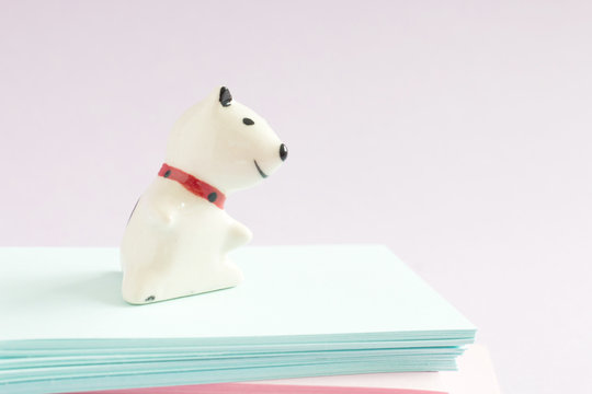 little dog plaster sitting on colorful notepads