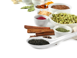 Variety of spices on white background
