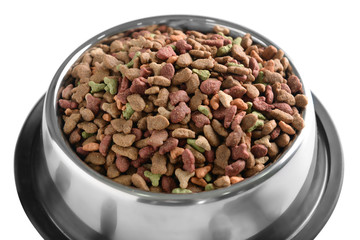 Pet food in metallic bowl on white background, closeup