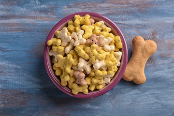 Bowl with pet food on color wooden background