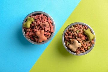 Bowl with pet food on color background