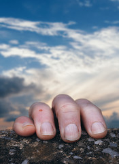 Hand holding on to wall or cliff, climbing up. Never give in.