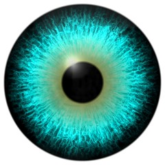 Blue eye texture with black fringe and white background	