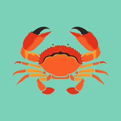 Crab Sea Life animal Vector and Icon for Logo and App