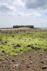 estran