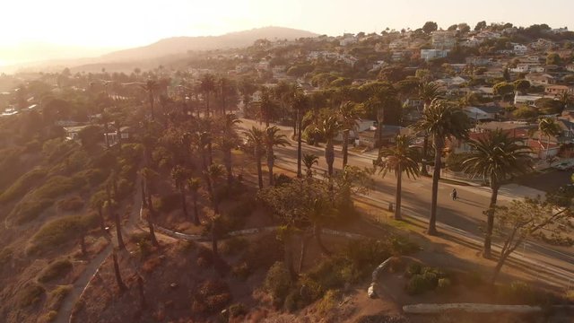 Aerial Sunset Palm Trees in Coastal San Pedro California