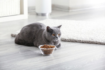 Adorable cat near bowl with food at home