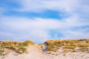 Zugang zum Strand über die Dünen