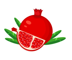 Red pomegranate fruit and slice pomegranate vector illustration 