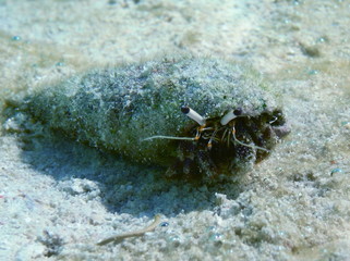 Raja Ampat, West Papua, Indonesia