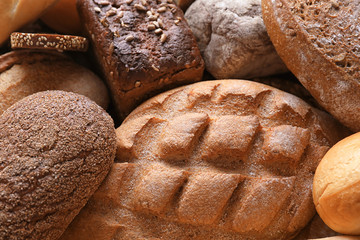 Variety of fresh tasty bread