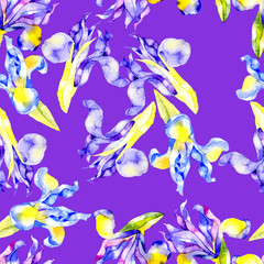 Fototapeta na wymiar Flower pattern. Beautiful, airy, mature, feminine irises. Watercolor. Illustration