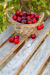 Basket full of ripe red cherries stands on the bench