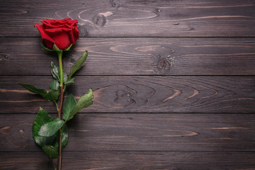 Beautiful red rose on wooden background