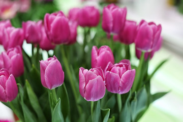 Bouquet of beautiful tulips, closeup