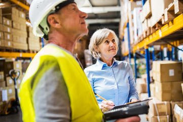 Senior woman manager and man worker working in a warehouse.