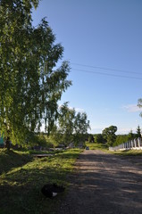 гуси