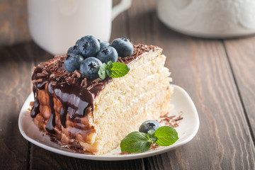 Piece of delicious sponge cake 