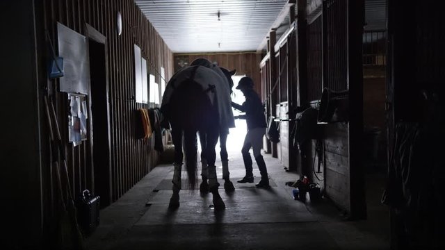 Equestrian sports female jockey preparing her horse in the stable