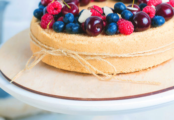 Macro photo of Cheesecake with summer berries