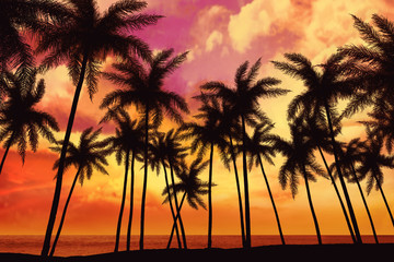 Obraz na płótnie Canvas summer desk and palms 